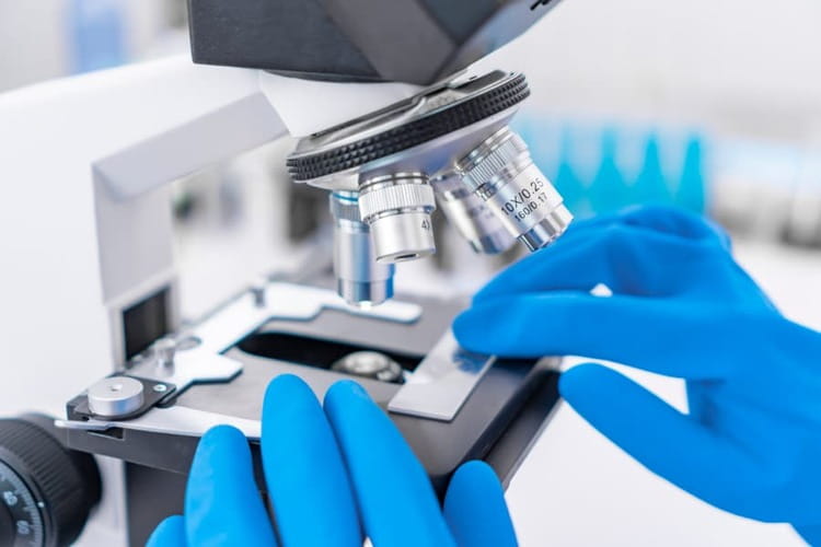 Microbiology Lab Services In Suart
